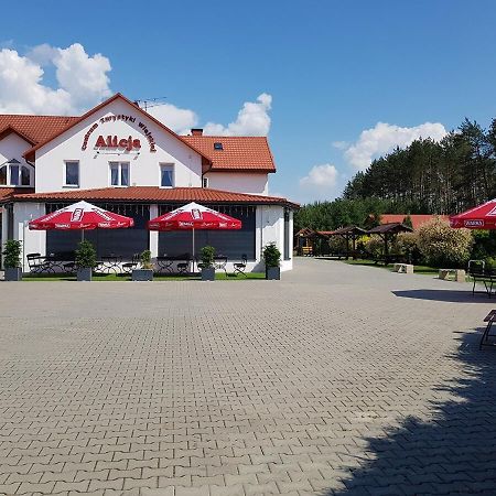 Centrum Turystyki Wiejskiej Alicja Ksiezpol Esterno foto