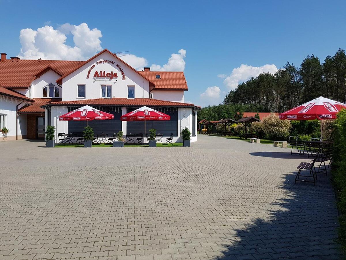 Centrum Turystyki Wiejskiej Alicja Ksiezpol Esterno foto